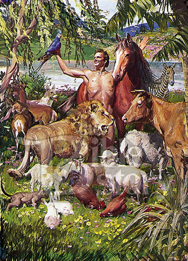 adam-with-animals